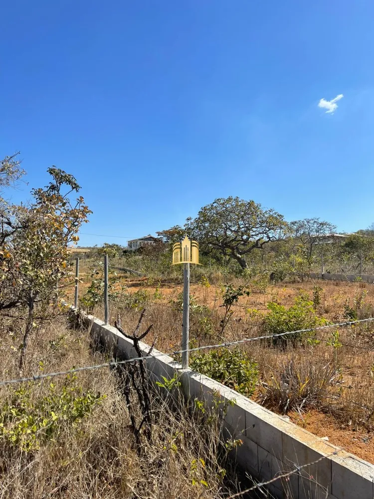 Terreno, 4 hectares - Foto 15