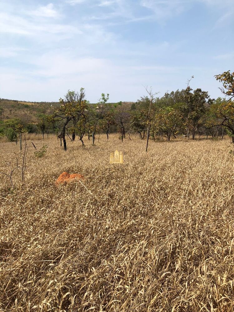 Terreno, 4 hectares - Foto 1