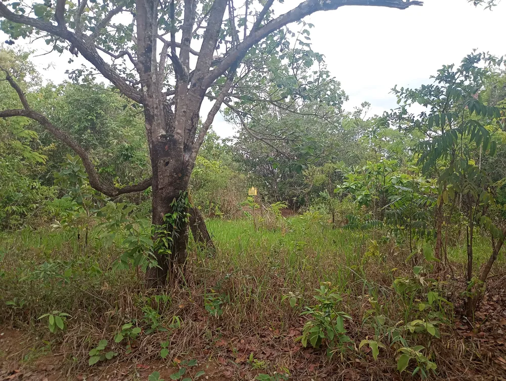 Terreno, 360 m² - Foto 12