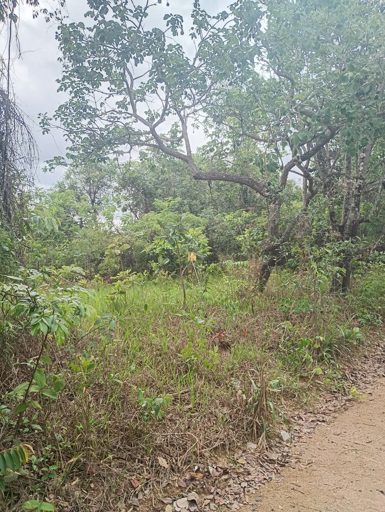 Terreno, 360 m² - Foto 9