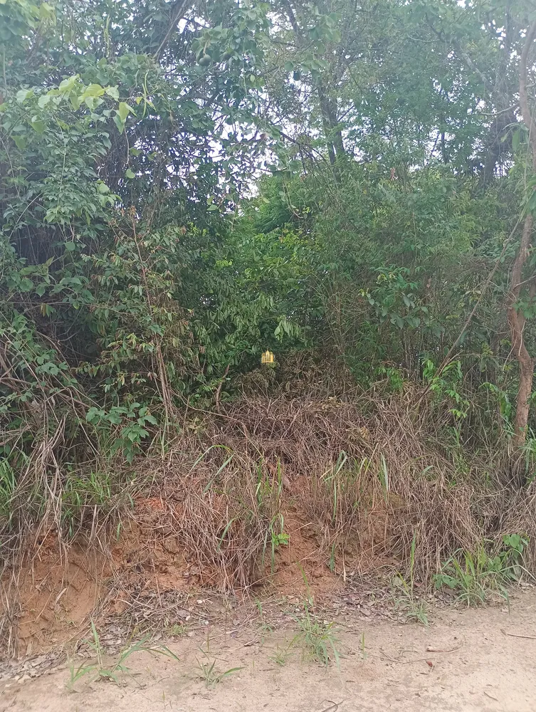 Terreno, 360 m² - Foto 14