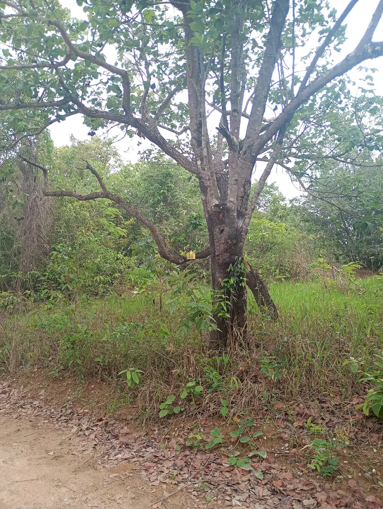 Terreno, 360 m² - Foto 16