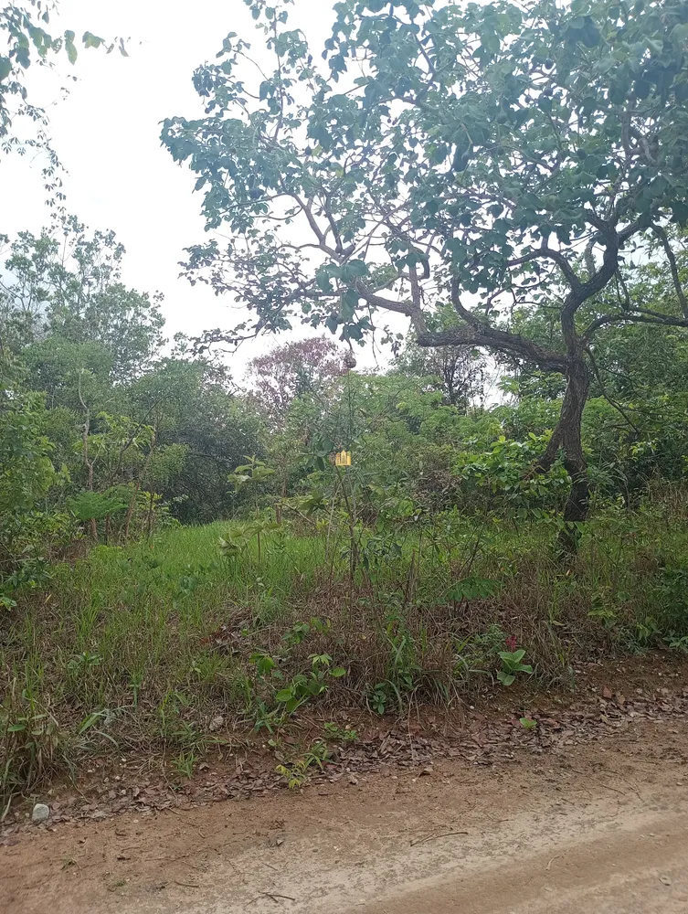Terreno, 360 m² - Foto 17