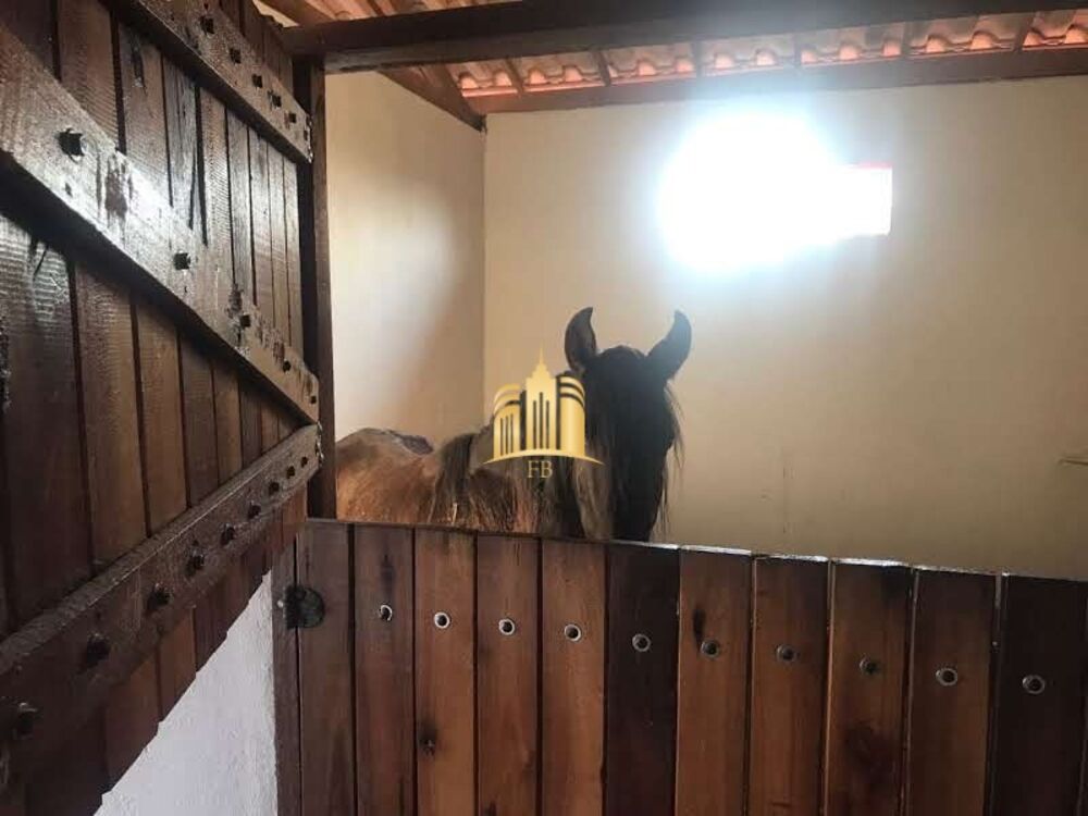 Fazenda-Sítio-Chácara, 11 hectares - Foto 3