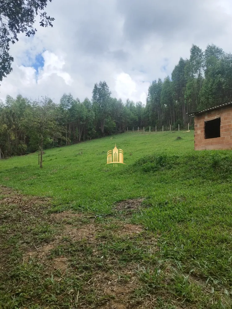 Chácara, 2 quartos, 2000 m² - Foto 4