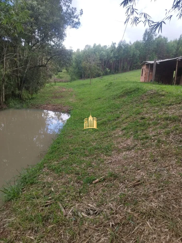 Chácara, 2 quartos, 2000 m² - Foto 3