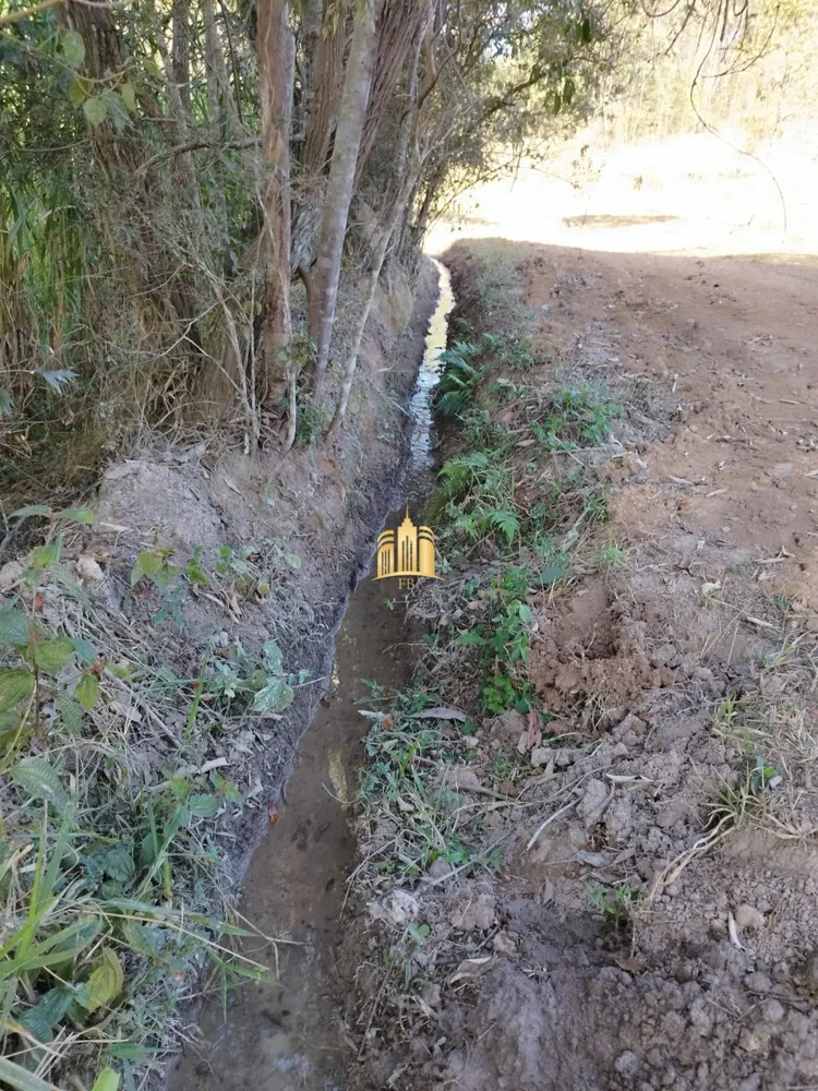Chácara, 2 quartos, 2000 m² - Foto 9
