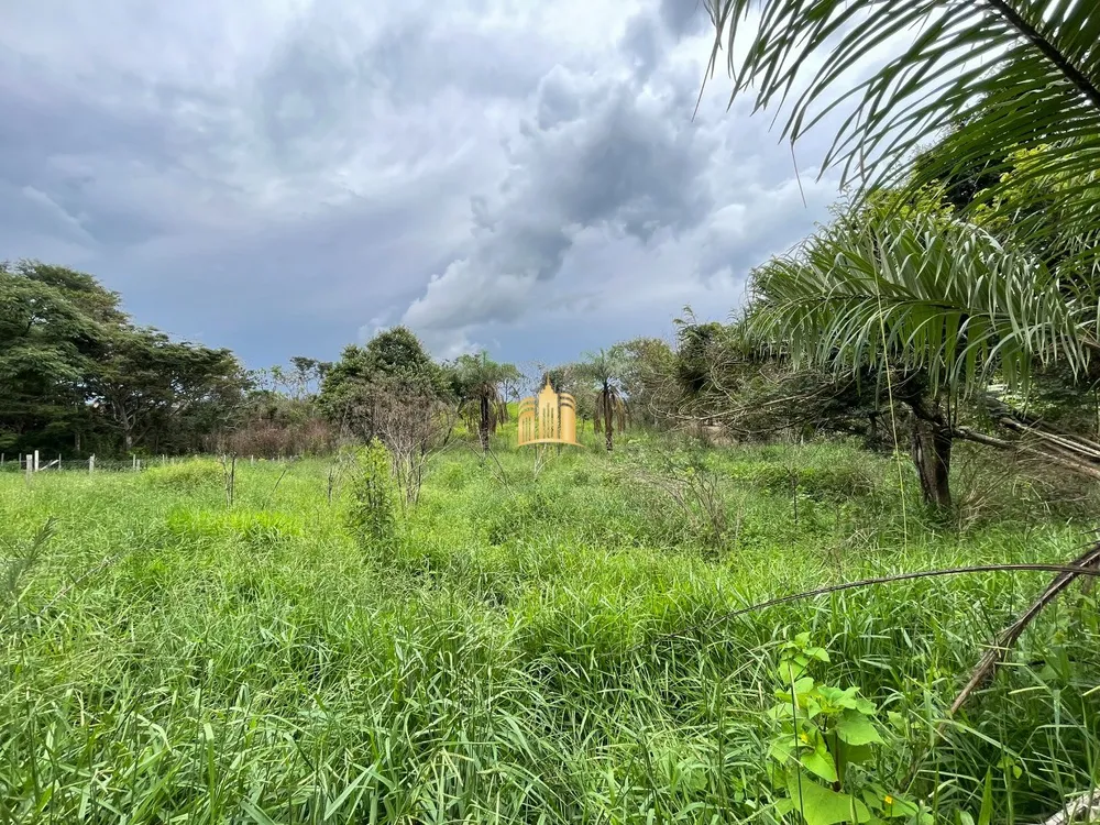 Terreno, 3000 m² - Foto 9
