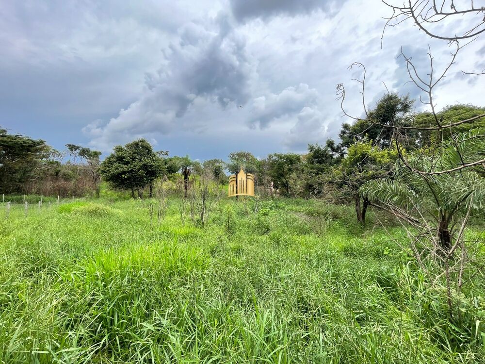 Terreno, 3000 m² - Foto 7
