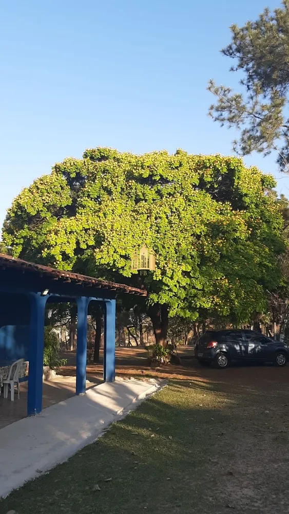 Sítio, 3 quartos, 5000 m² - Foto 11