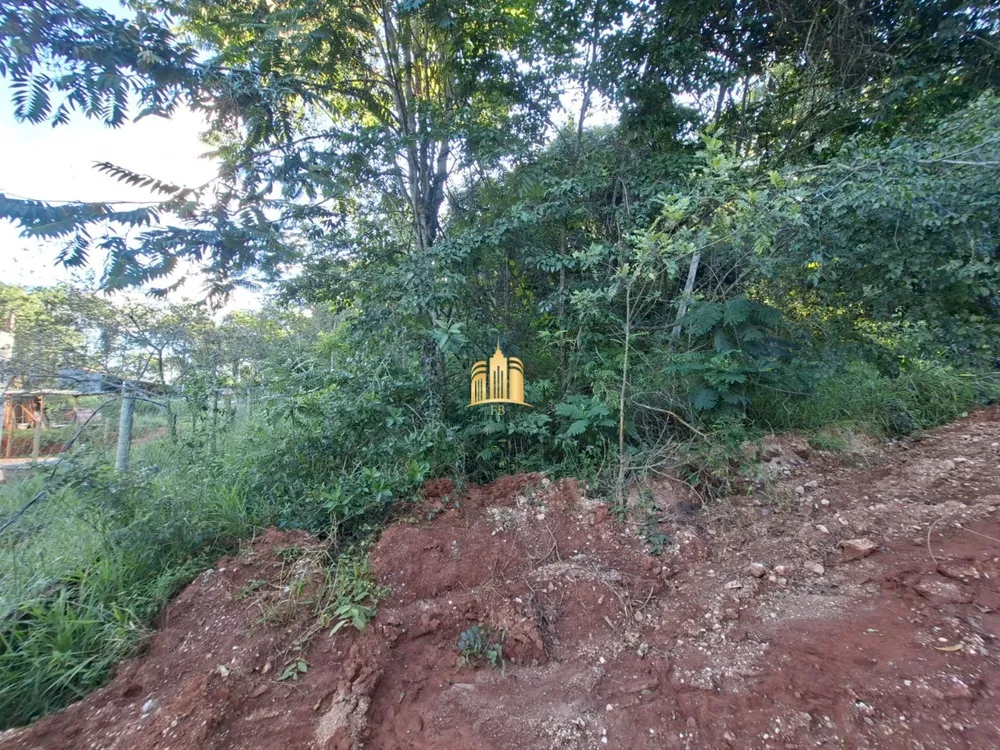 Terreno, 1000 m² - Foto 3