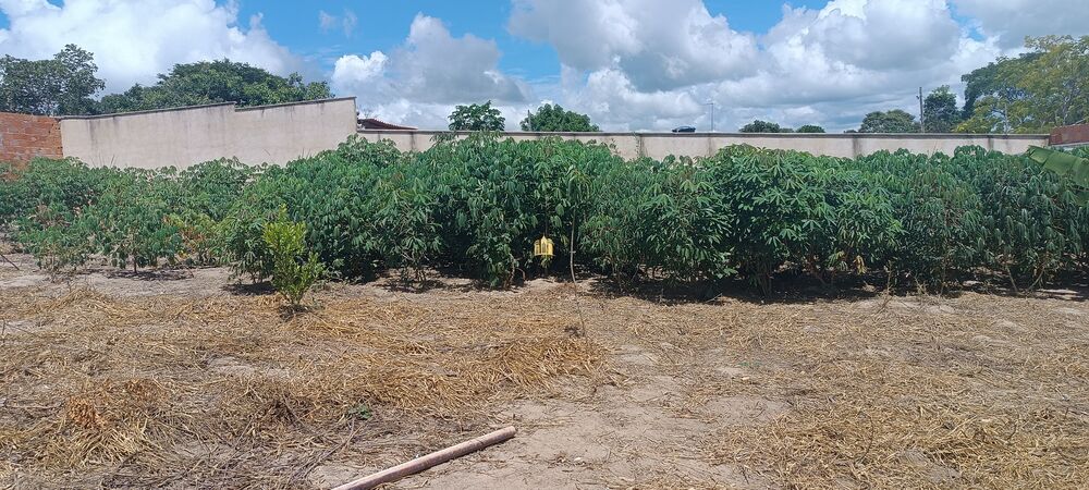 Terreno, 720 m² - Foto 8