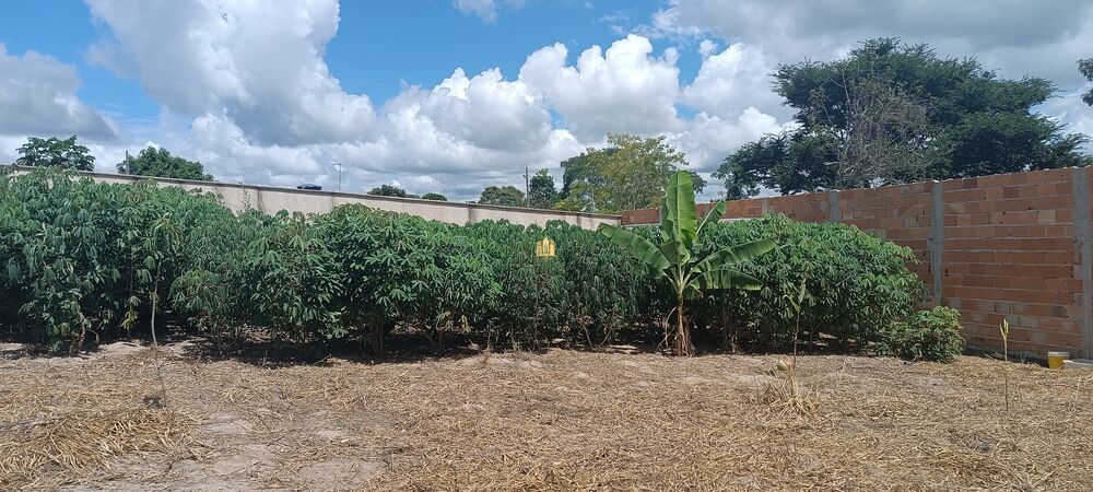 Terreno, 720 m² - Foto 6