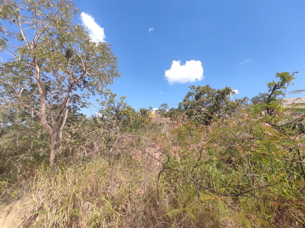 Terreno, 450 m² - Foto 4