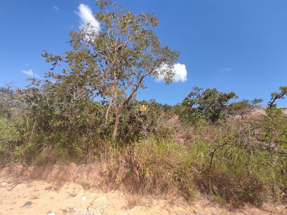 Terreno, 450 m² - Foto 8