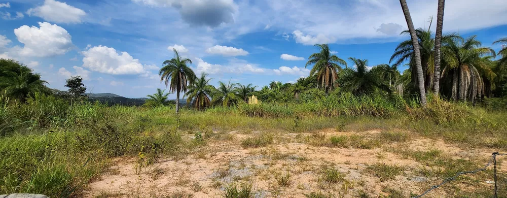 Terreno, 1827 m² - Foto 2