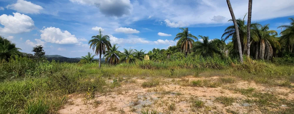 Terreno, 1827 m² - Foto 3