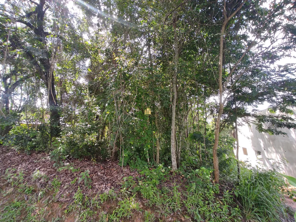 Terreno, 1175 m² - Foto 3