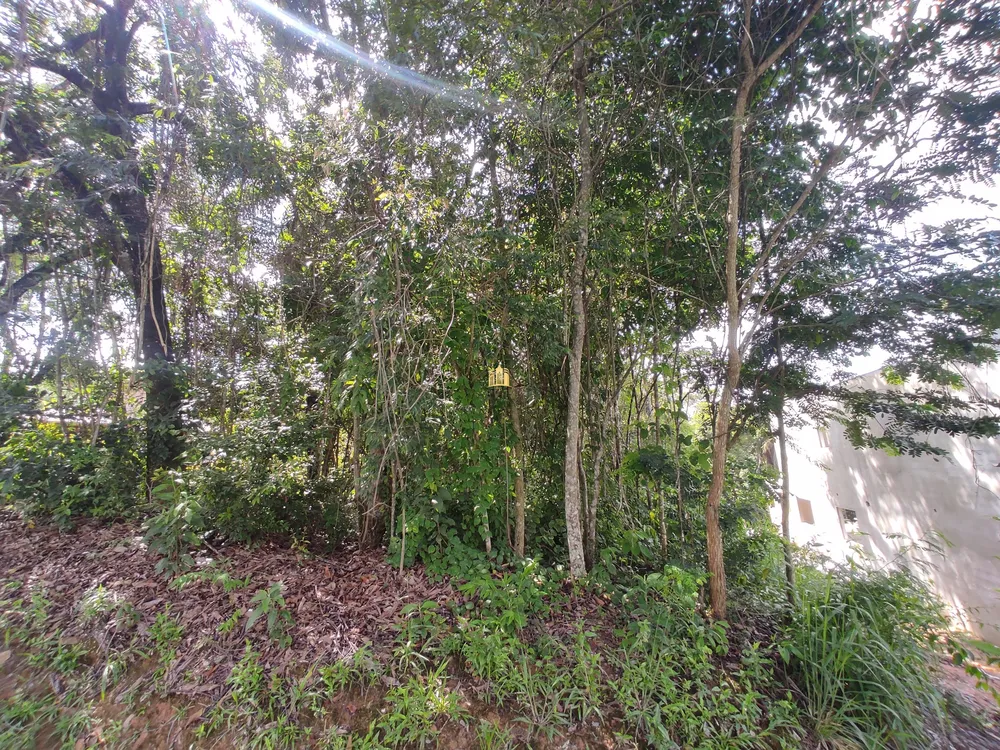 Terreno, 1175 m² - Foto 2
