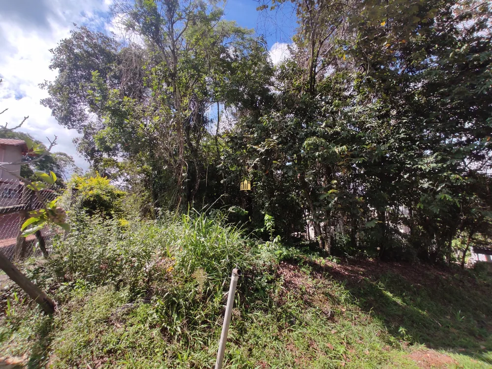 Terreno, 1175 m² - Foto 12