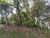 Terreno, 1175 m² - Foto 7
