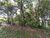 Terreno, 1175 m² - Foto 6