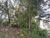 Terreno, 1175 m² - Foto 1