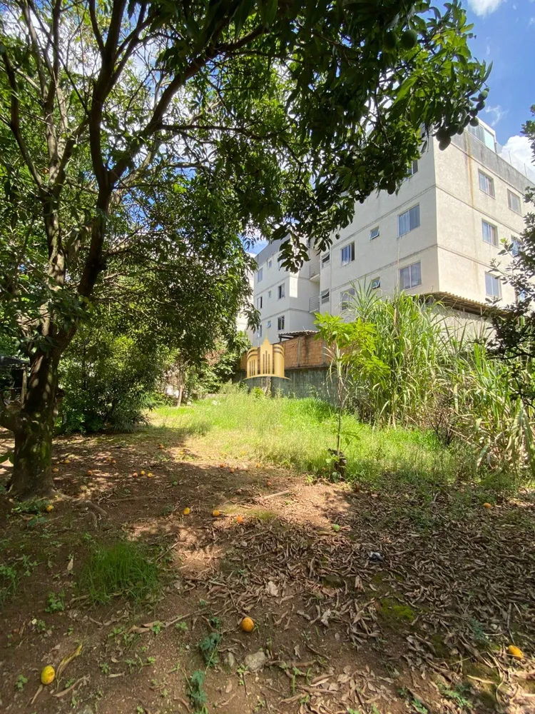 Terreno, 1074 m² - Foto 5