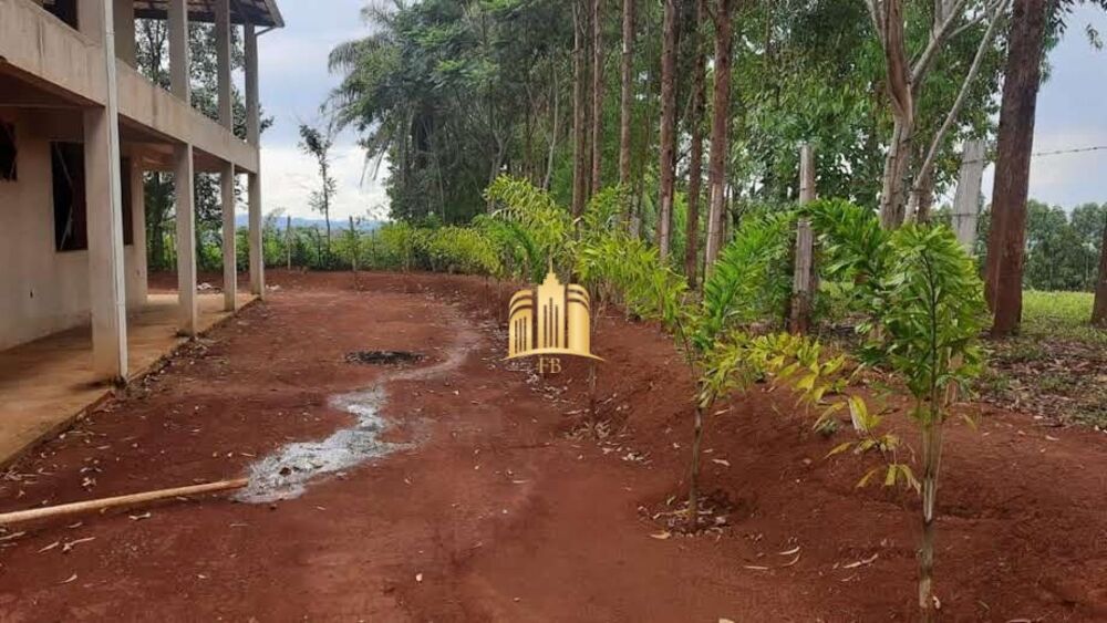 Sítio à venda com 3 quartos, 6000m² - Foto 8