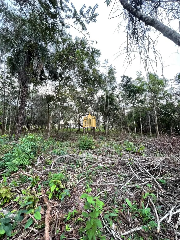 Terreno, 2000 m² - Foto 4