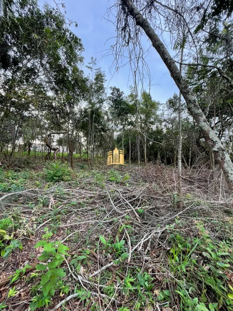 Terreno, 2000 m² - Foto 2