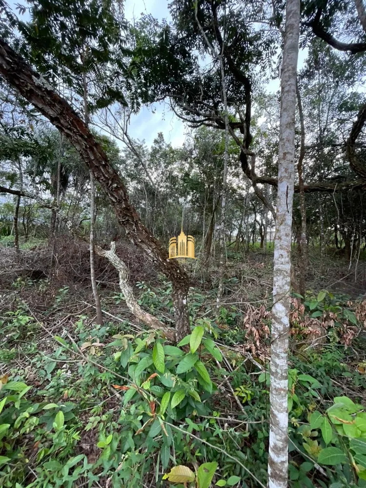 Terreno, 2000 m² - Foto 6