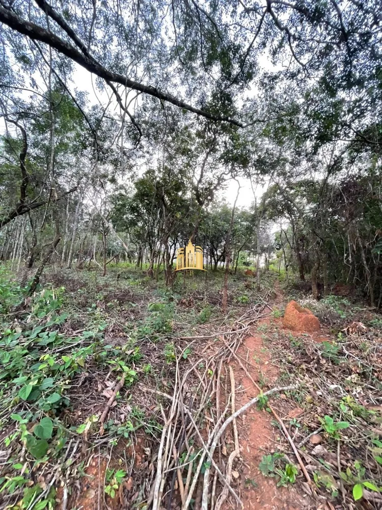 Terreno, 2000 m² - Foto 4