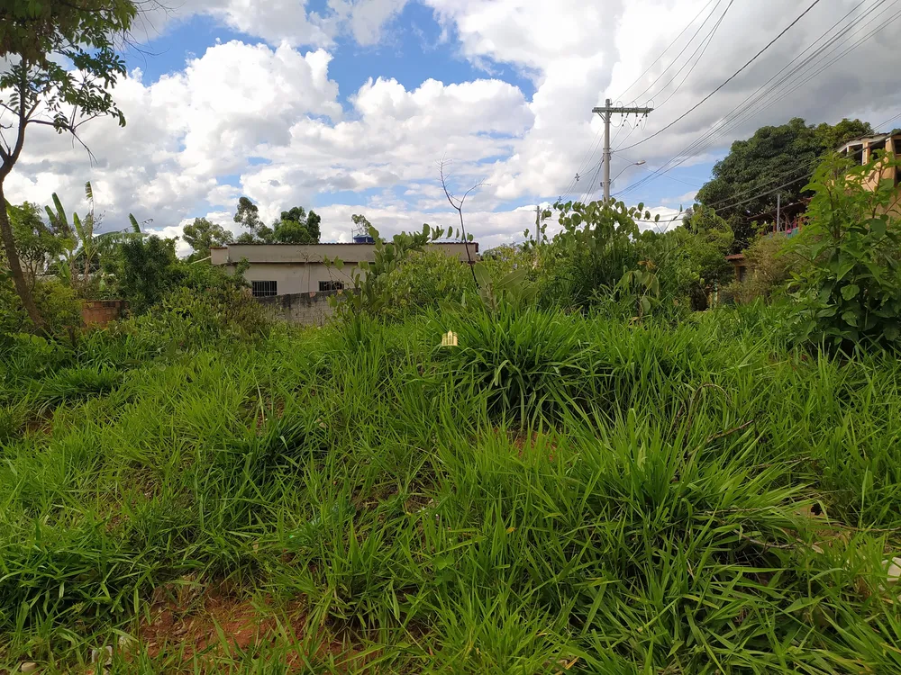 Terreno, 372 m² - Foto 8
