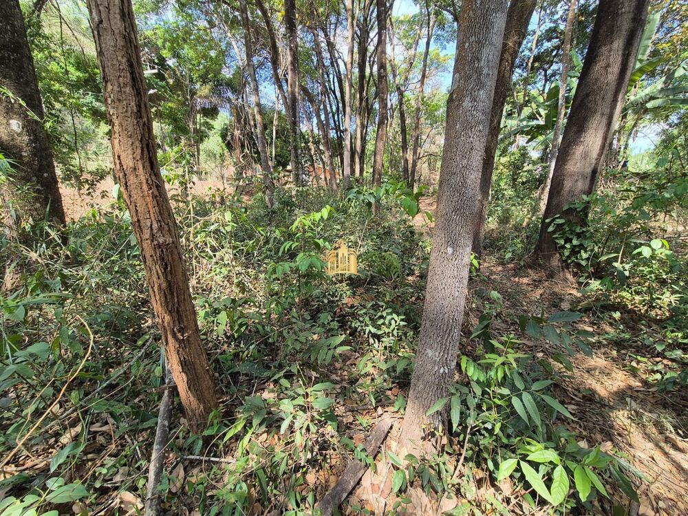 Terreno, 1100 m² - Foto 2