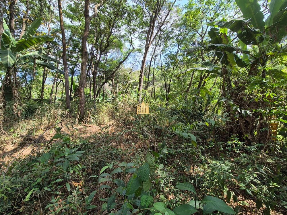 Terreno, 1100 m² - Foto 3