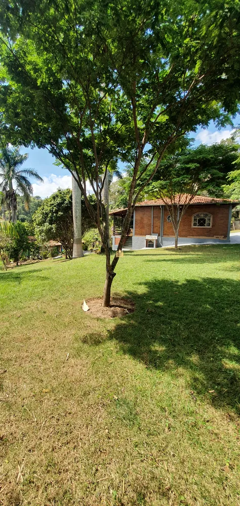 Sítio, 3 quartos, 3265 m² - Foto 6