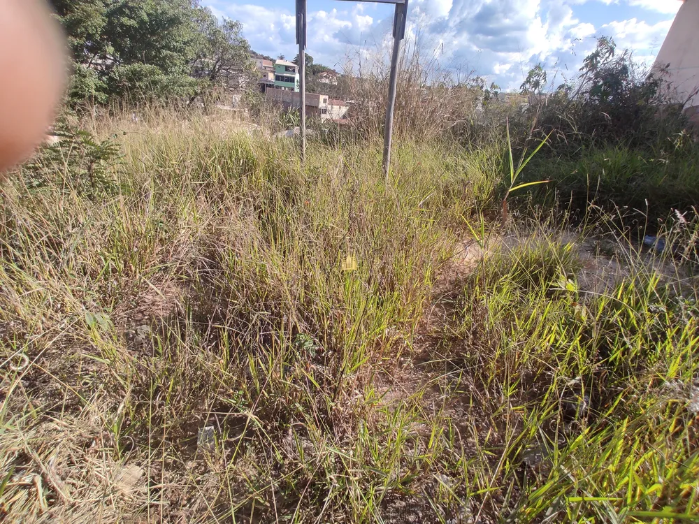 Terreno, 360 m² - Foto 9