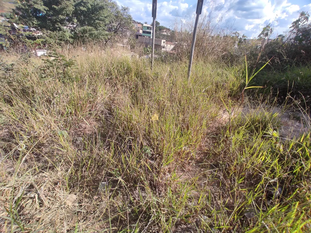 Terreno, 360 m² - Foto 10