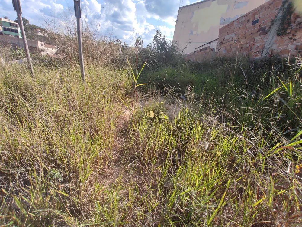 Terreno, 360 m² - Foto 11
