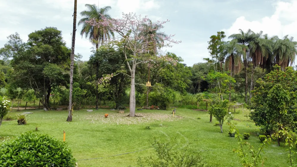 Chácara, 5 quartos, 15 hectares - Foto 7