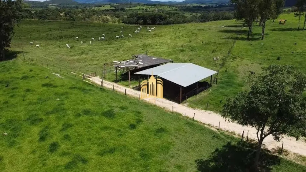 Fazenda, 69 hectares - Foto 11