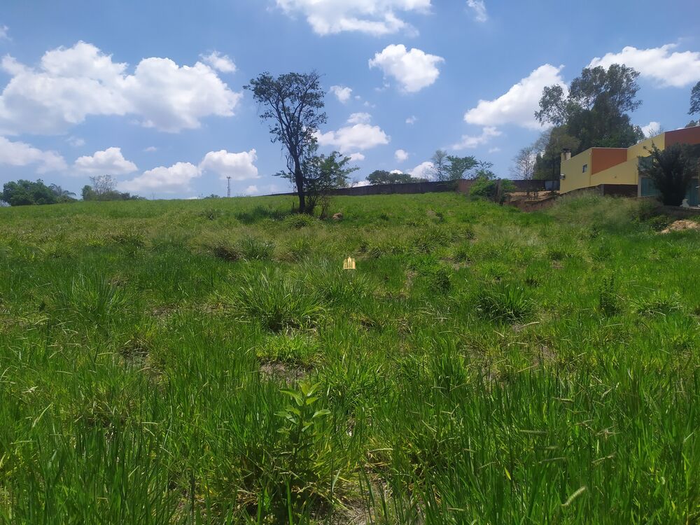 Terreno, 2000 m² - Foto 6