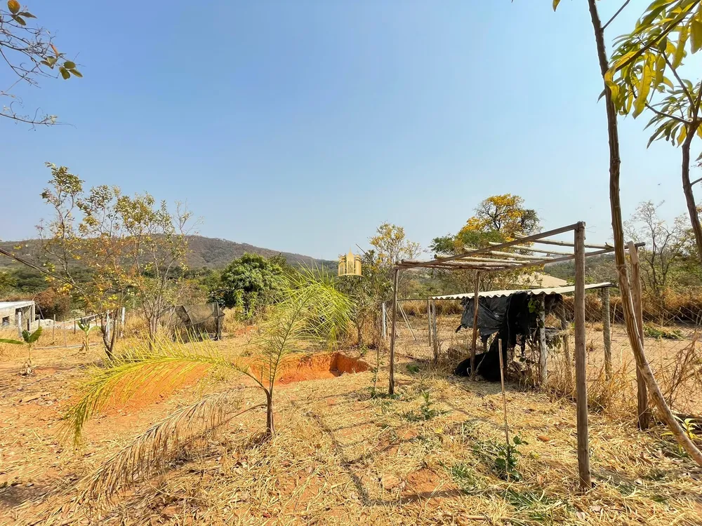 Sítio, 2 quartos, 4500 m² - Foto 3