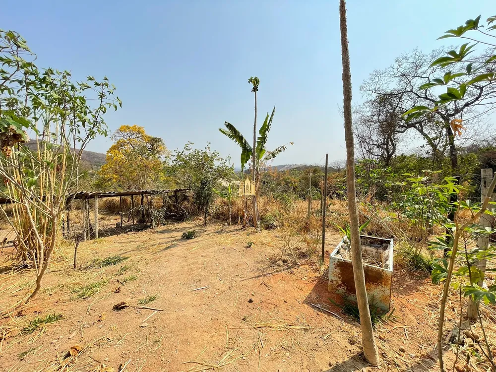 Sítio, 2 quartos, 4500 m² - Foto 1