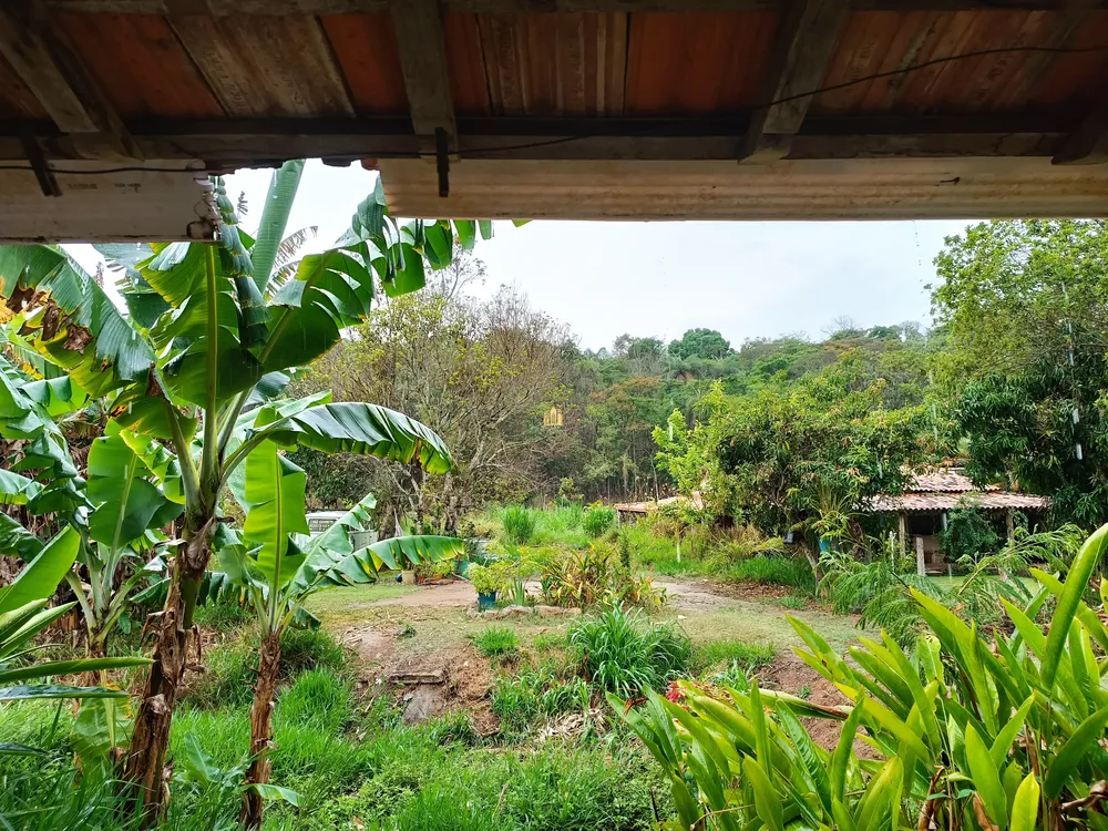 Chácara, 6 quartos, 2600 m² - Foto 1