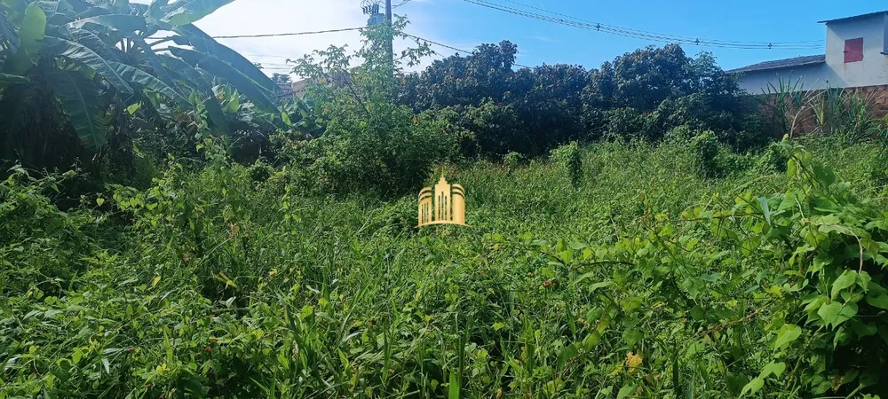 Terreno, 526 m² - Foto 2