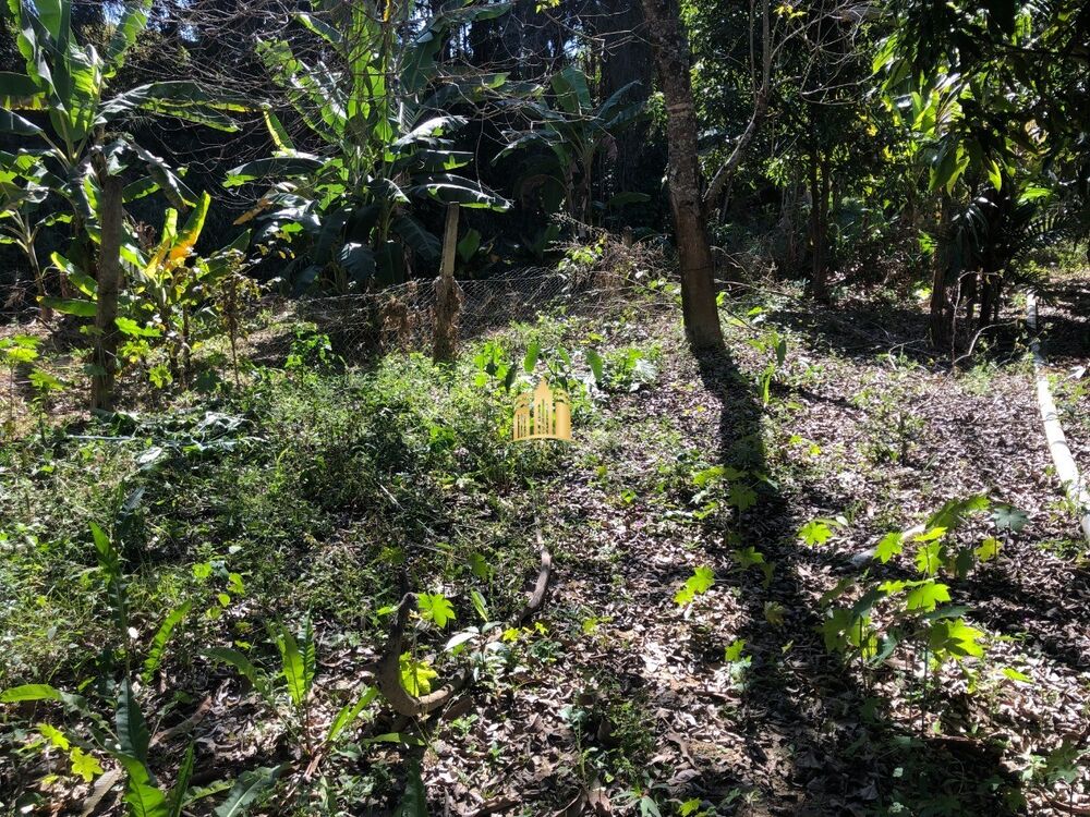 Sítio, 3 quartos, 3300 m² - Foto 3