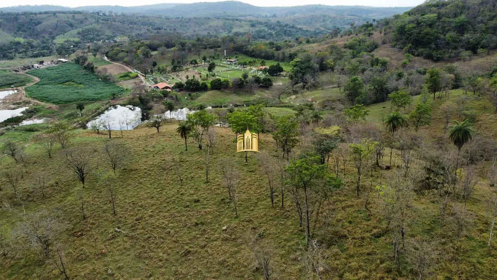 Fazenda, 29 hectares - Foto 13