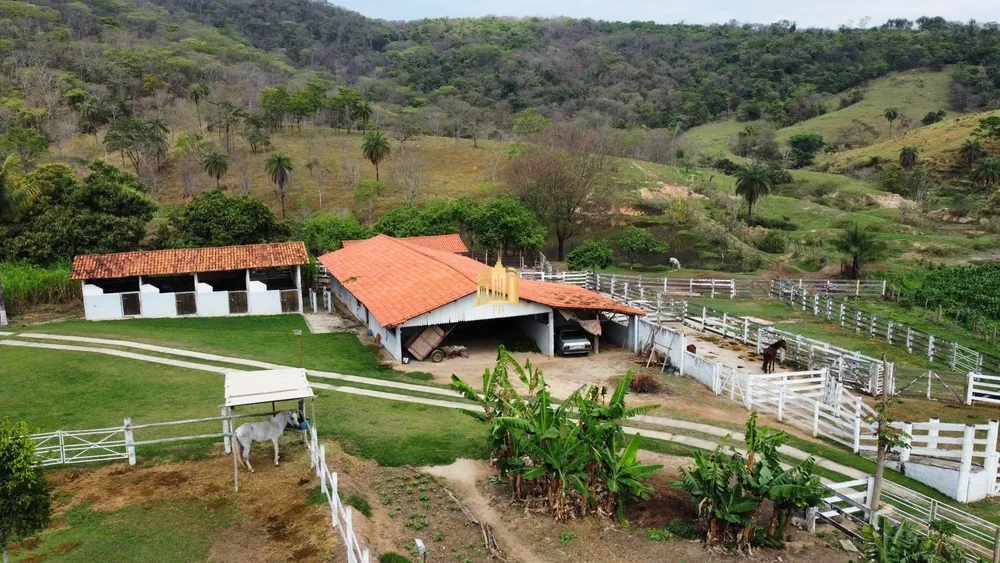 Fazenda, 29 hectares - Foto 8